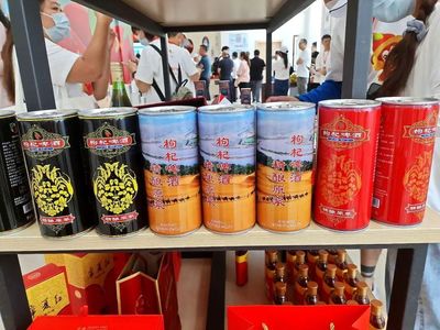 小红果致富的大奥秘 --第四届枸杞产业博览会暨百家媒体宁夏枸杞行见闻